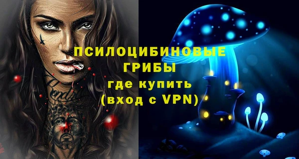 эйфоретик Алексин