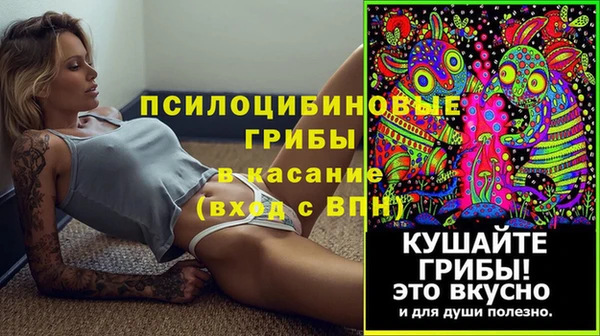 круглые Алексеевка