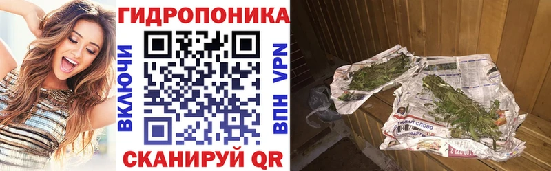 ссылка на мегу как войти  наркотики  Феодосия  Марихуана ГИДРОПОН 